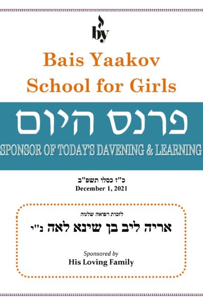 Lzchus Refuah Sheleimah Aryeh Leib ben Shayna Leah DODL 12_1_2021 Lzchus Refuah Sheleimah Aryeh Leib ben Shayna Leah DODL 12_1_2021