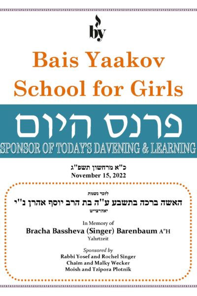 In memory of Bracha Bassheva Singer Barenbaum DODL 11_15_2022 In memory of Bracha Bassheva Singer Barenbaum DODL 11_15_2022
